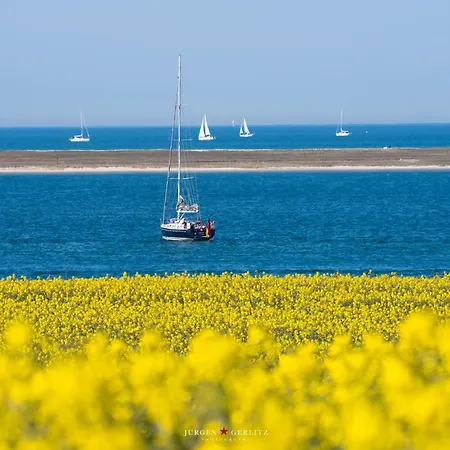 Ostseebrise * Olpenitz